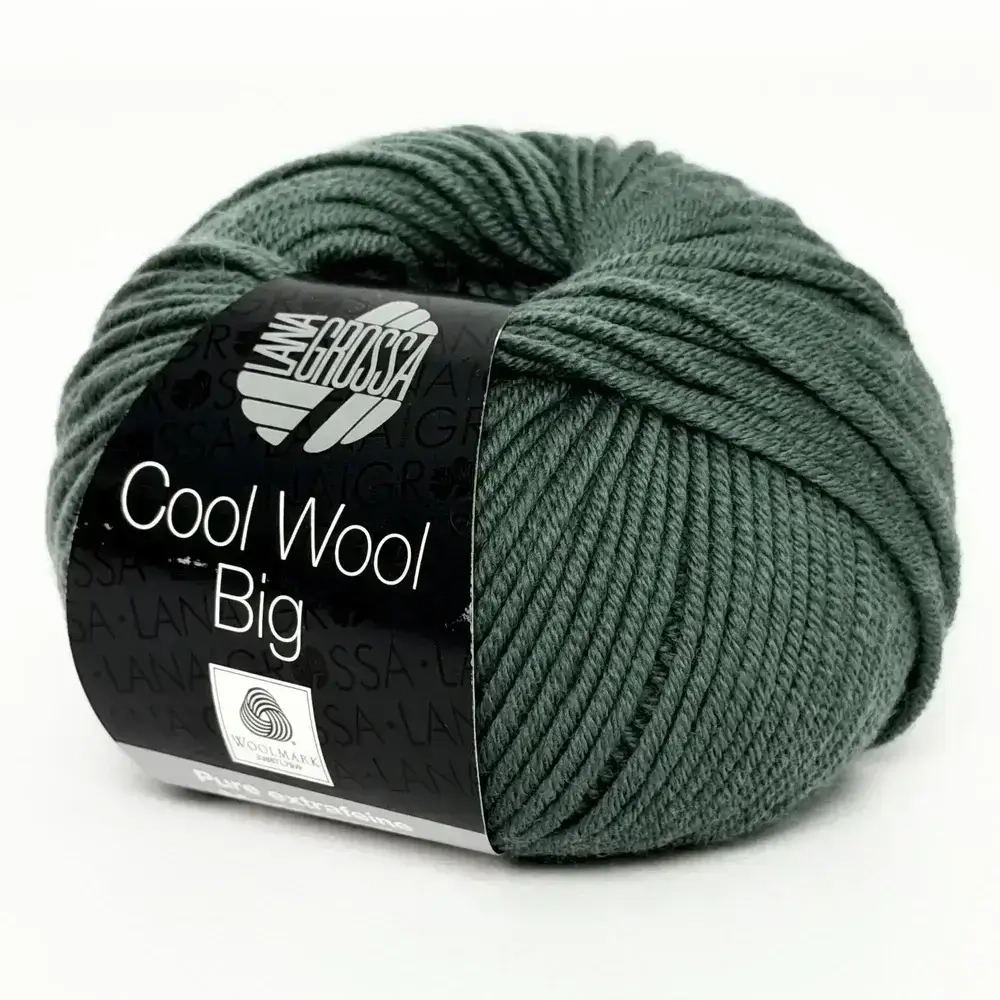 Пряжа Lana Grossa Cool Wool Big 1004