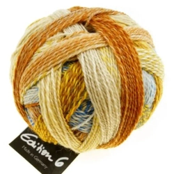 Schoppel Edition 6.0 - 2329