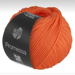 Пряжа Lana Grossa Promessa - 30