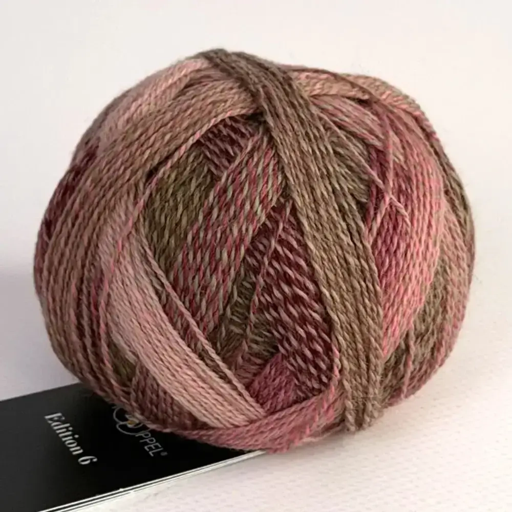 Schoppel Edition 6.0 - 2442