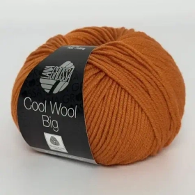 Пряжа Cool Wool big 1