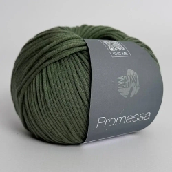 Пряжа Lana Grossa Promessa - 17
