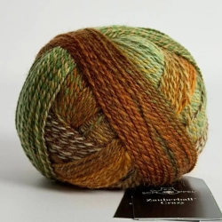 Schoppel Crazy Zauberball 1660