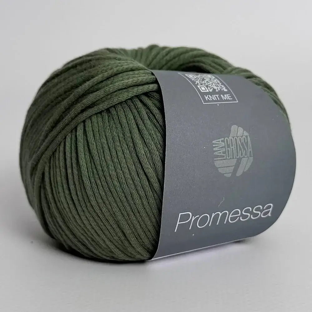 Пряжа Lana Grossa Promessa - 17