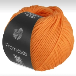Пряжа Lana Grossa Promessa - 04