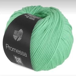 Пряжа Lana Grossa Promessa - 25