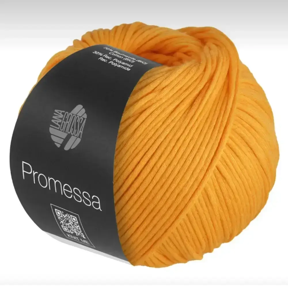 Пряжа Lana Grossa Promessa - 31