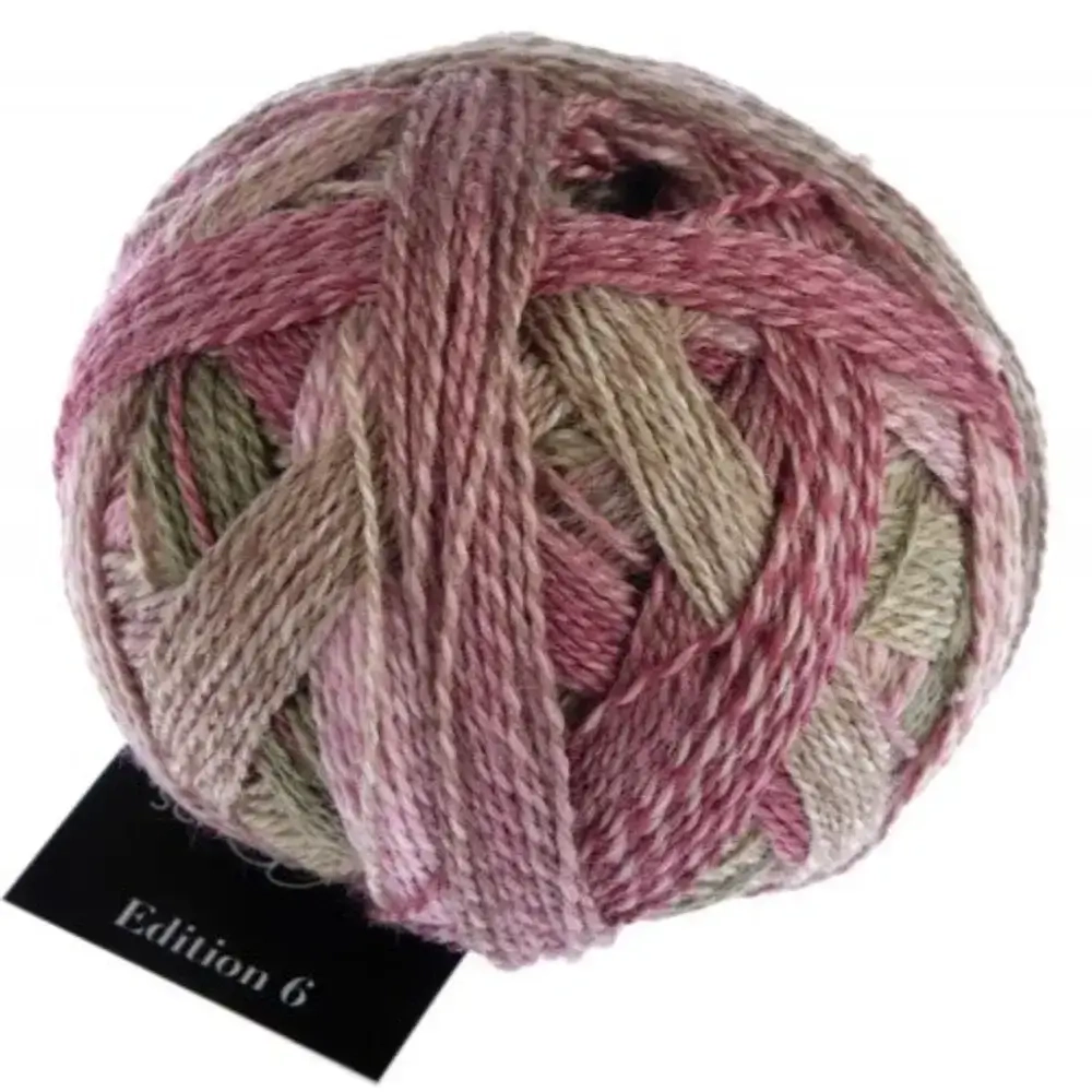 Schoppel Edition 6.0 - 2361