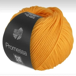 Пряжа Lana Grossa Promessa - 31